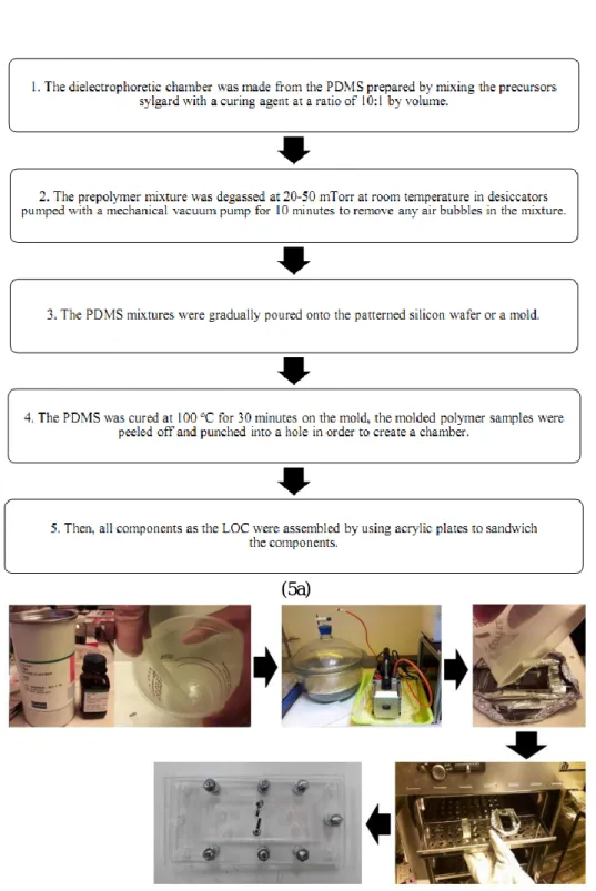 Figure 5. (5a)The flow diagrams and (5b) the fabrication step for the silicon-wafer casted PDMS  LOC