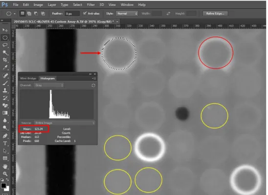 Figure 2.4: Mean Value of Signal. Our interested protein was showed with arrow and  duplicate of signal was showed with red circle