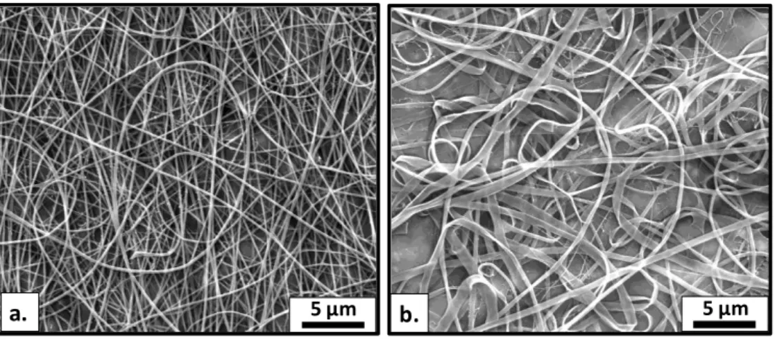 Figure  5.  SEM  images  of  electrospun  nanofibers  obtained  from  different  concentration of nylon 6,6 solutions in formic acid (a) 10% and (b) 15% (w/v)