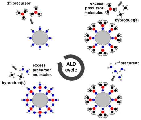 Figure  9.  Schematic  representation  of  the  processing  steps  for  one  ALD  cycle