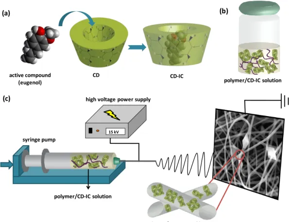 Figure 11. Schematic representations of (a) formation of CD-IC, (b) polymer/CD-IC  solution  and  (c)  electrospinning  of  nanofibers  from  polymer/CD-IC  solution