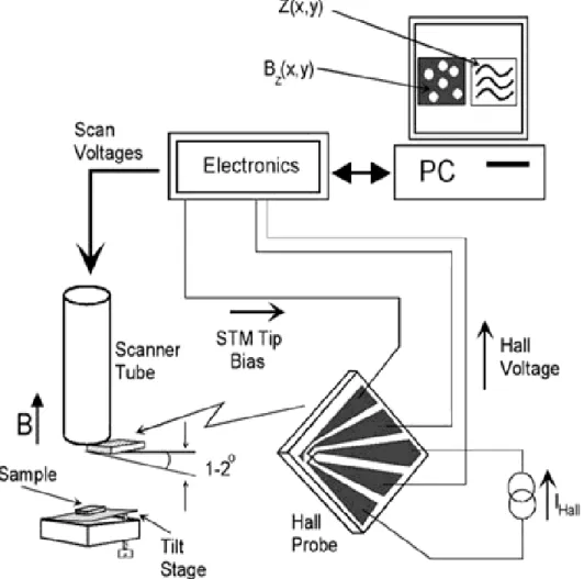 Figure 1.4: Schematic layout of the Scanning hall Probe Microscope. The common  elements of the SPM family can clearly be distinguished.