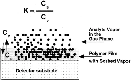 Figure 1.3: An illustration of adsorption of vapor from gas phase to polymer phase  [18] 