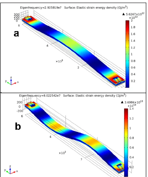 Figure 2.1: Modeshapes of first (a) and second (b) flexural modes and their  corresponding elastic strain energy density