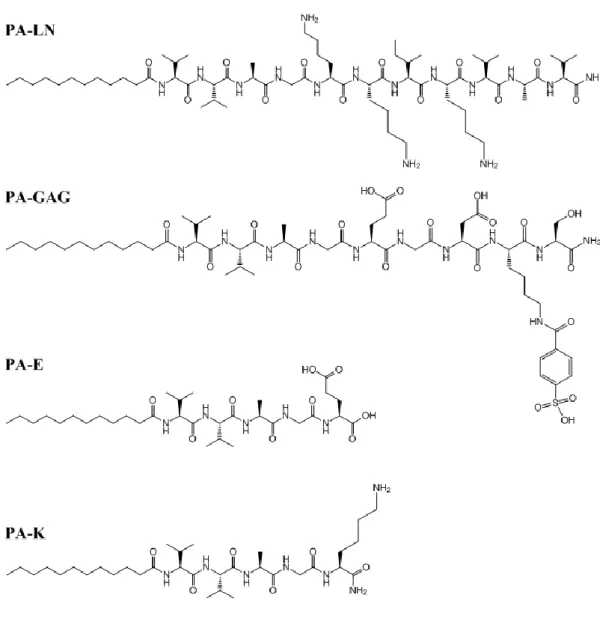 Figure 2. 1. Chemical structures of the PA molecules used in this study. 