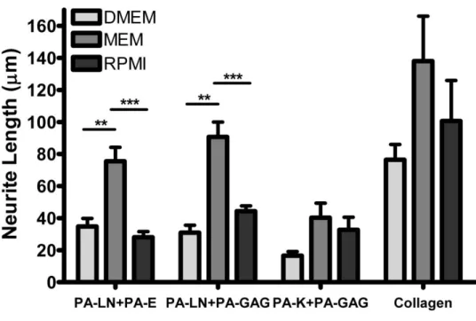 Figure  2.  16.  Effect  of  induction  medium  on  neurite  outgrowth  by  PC-12  cells