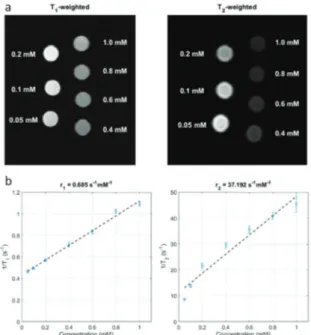 Fig. 4 (a) Dox-loading eﬃciency on SPION-PNIPAM01 and SPION- SPION-PNIPAM02 nanoparticles in PBS buﬀer and DIW