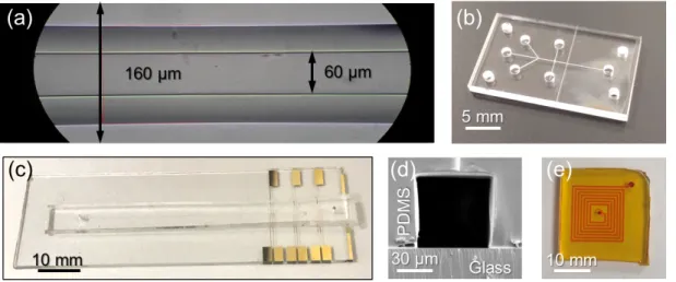 Figure 1.5: Examples of different type of microfluidic chips. (a) Glass micro- micro-capillary, (b) fused silica all-glass microfluidic chip, (c) glass/PDMS microfluidic chip with metal electrodes, (d) scanning electron microscope (SEM) image of glass/PDMS
