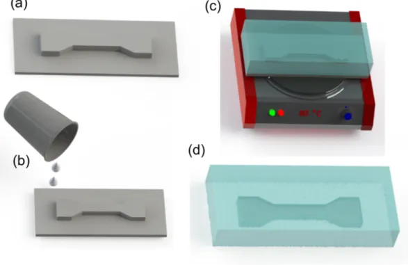 Figure 1.6: Fabrication steps to prepare a PDMS microfluidic device. (a) Mold, (b) PDMS pouring, (c) curing on a hot plate, and (d) peeling PDMS layer form mold.