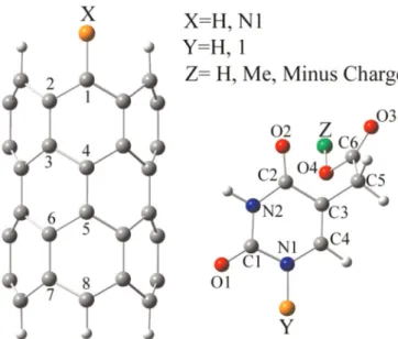 Fig. 2. The investigated CNT–UA hybrids are shown.