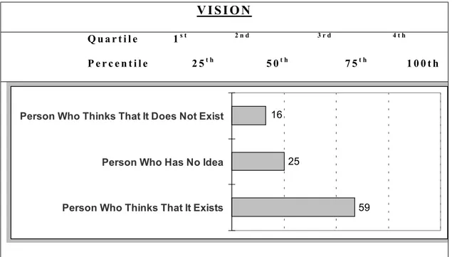 Table 8: Summaries Of Vision Index