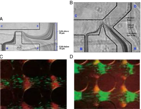 Figure 8. (A) Separation of white bloods cells by size using rectangular hurdle (Reprinted with permission from Ref