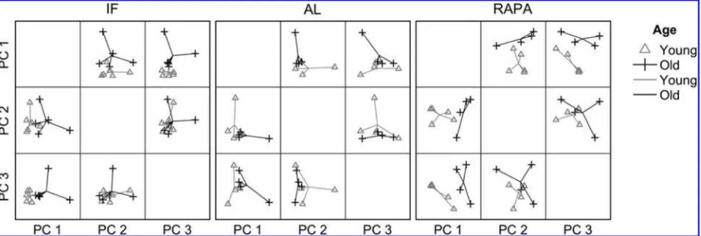 FIG. 5. Expression levels of proteins of interest cluster in an age- and treatment-specific manner in the principal component matrices