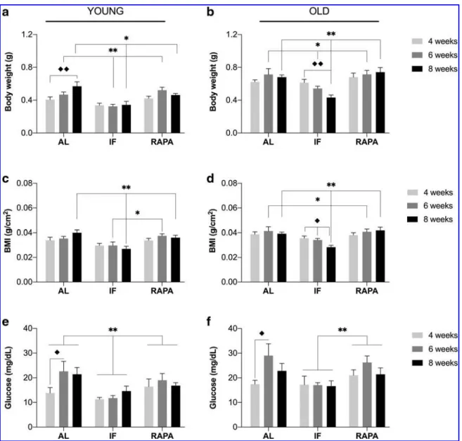 FIG. 1. Changes in body weight, BMI, and glucose in response to different durations of intermittent fasting and rapamycin treatment in young (a, c, e) and old animals (b, d, f)
