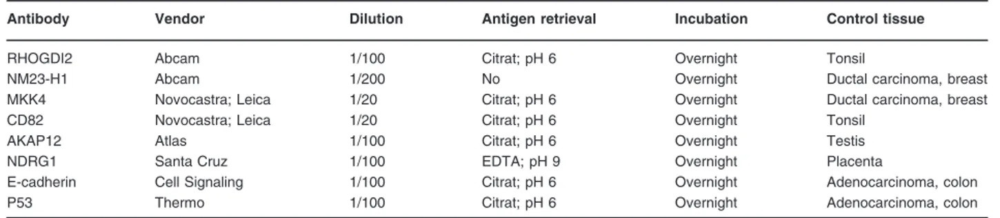 Table 2 Primer antibodies used in this study