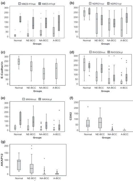 Figure 1 Boxplot graphics of the groups. (a) NM23-H1; (b) NDRG1;