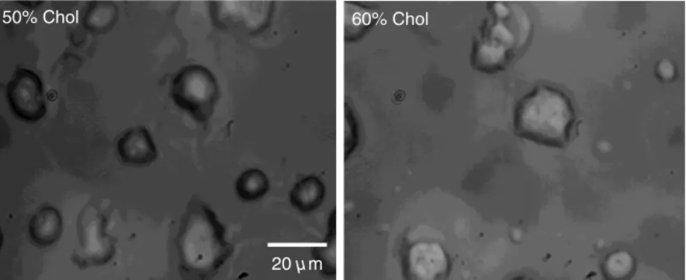 Fig. 3 Up to 40% of Chol concentrations coexisting Lo and Ld phases were observed. However, in com- com-position with 50% and 60% concentrations of Chol, materials appear as crystals, as shown in these figures.