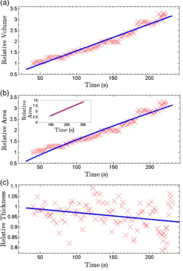 Fig. 6 Evolution of domain size in stacked multicomponent lipid bilayers including of equimolar SM and DOPC1 and 30% Chol: