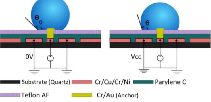 Fig. 6. The layout and test schematic of the tunable CPW metamaterial- metamaterial-inspired TL