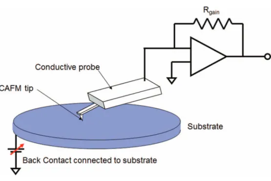 FIG. 2. CAFM setup showing the conductive probe and the transimpedance amplifier used to detect the current flow.