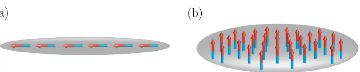 Figure 3.2: Representation of trap geometry and the alignment of dipoles.