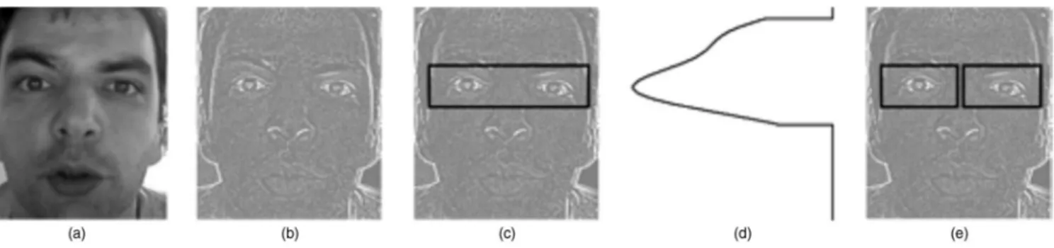Fig. 3 共a兲 An example face region with its 共b兲 detail image and 共c兲 horizontal-crop edge image covering the eyes region, determined according to 共d兲 smoothed horizontal projection in the upper part of the detail image 共the projection data is filtered with 
