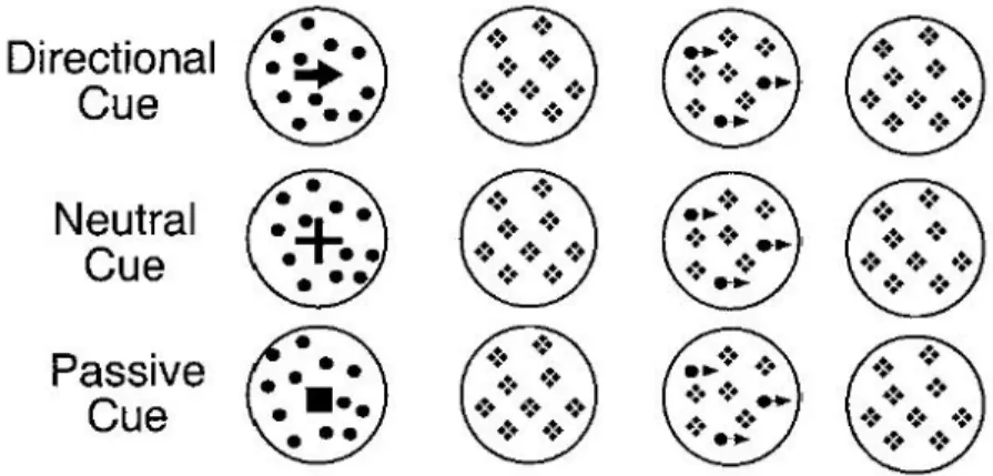 Figure 1.3: The three sequential cue tasks that were used by Shulman et al. [3]. In directional cue task, static arrowheads were used as a cue of direction of motion before the random dot display