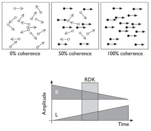 Figure 1.7: Visual motion detection task in Meyer and Wuerger [7]. The random dot kinematogram at different coherence levels (0%, 50% and 100%) were used as visual stimuli whereas white noise cross-fading between left and right ear of the speaker was used 