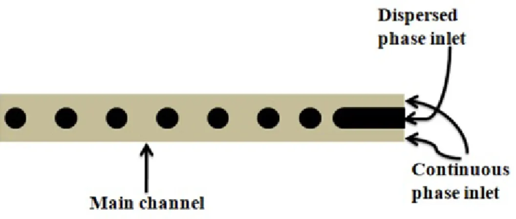 Figure 1.2: Schematic showing the design of a Co-Flowing device