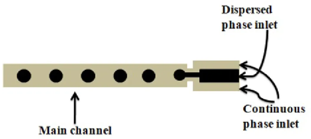 Figure 1.3: Schematic showing the design of a Flow Focusing device The size of droplets depends on the size of the orifice as well as the flow rates of the two phases