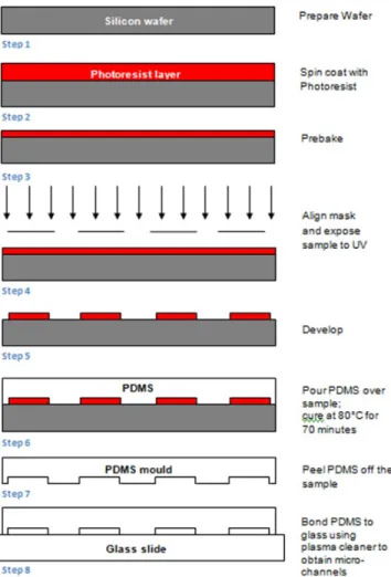 Figure 2.2: Schematic showing the steps followed for the fabrication of the microfluidic device.
