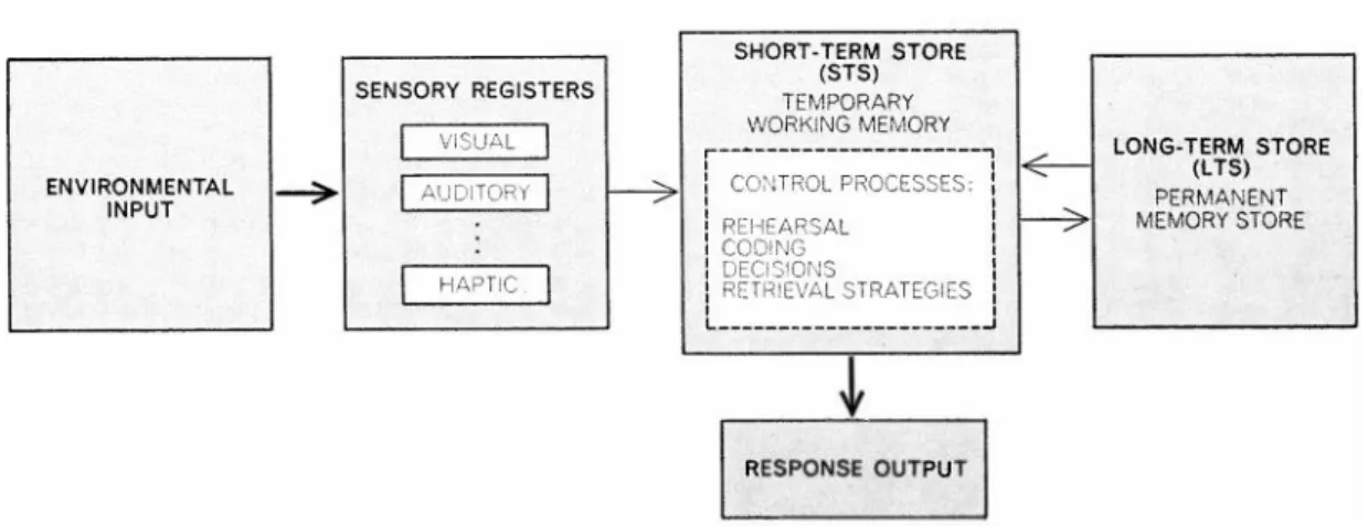 Figure 2.6: This flowchart indicates the differentiation between short-term and long- long-term memory (Atkinson &amp; Shiffrin, 1971, p.3)