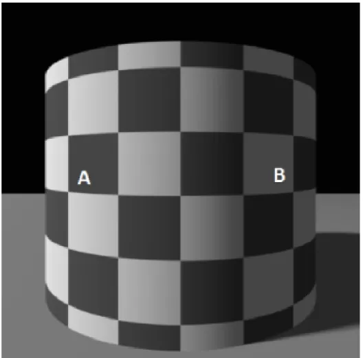 Figure 1.1: Illusory checkerboard stimulus. “Context squares”, A and B have identical luminance but different lightness.