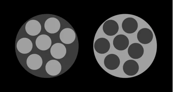 Figure 7. Wolff effect. Similar to our findings in Experiment 2, the dark gray ‘‘ground’’ region in the left image appears lighter than the equiluminant disks in the right image, despite their total surface areas being equal