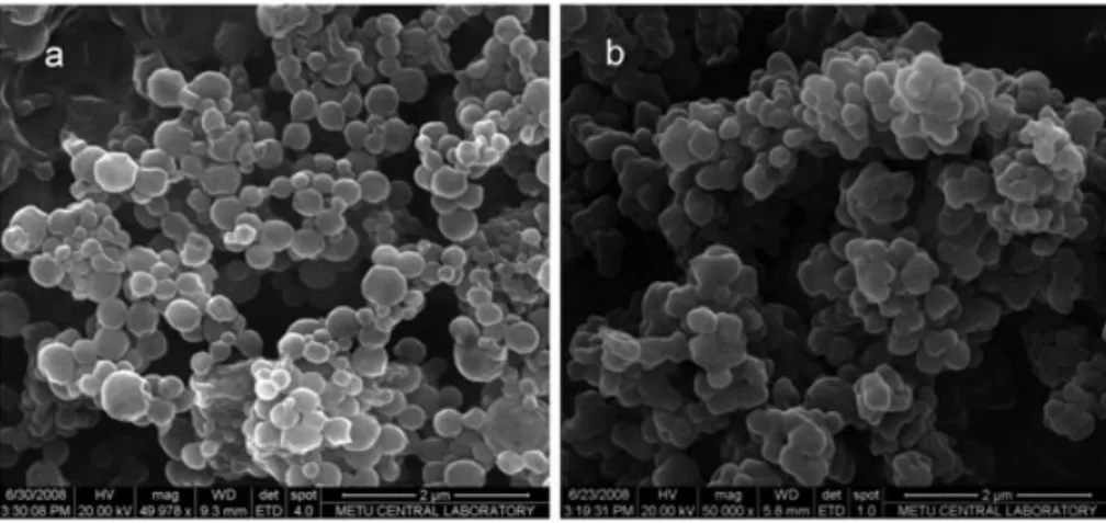 Figure 1. SEM micrographs of nanoparticles: (a) PLGA nanocapsules; (b) PNIPAM nanospheres (magni ﬁcation  50 000)