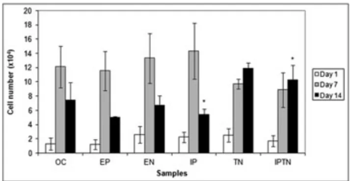 Figure 2. Cell growth determination using different growth factor combinations in the culture medium at the end of 1, 7 and 14 days of incubation, by MTS assay
