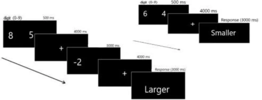 Figure 2.4. Demonstration of Working Memory Paradigm   