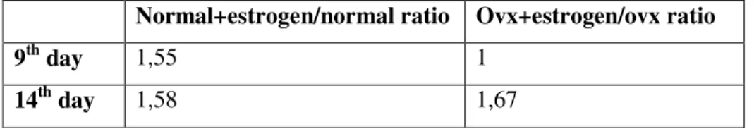 Table 4.2  The ratio  of estrogen  treated  cells  to the non-treated  cells on  the 9 th day and 14 th  day cultures  