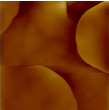 Fig. 5. Surface morphology of GaN grown at (a) 50 mbar and (b) 200 mbar. The scan size is 5 m m  5 m m; 10 nm in z-scale.