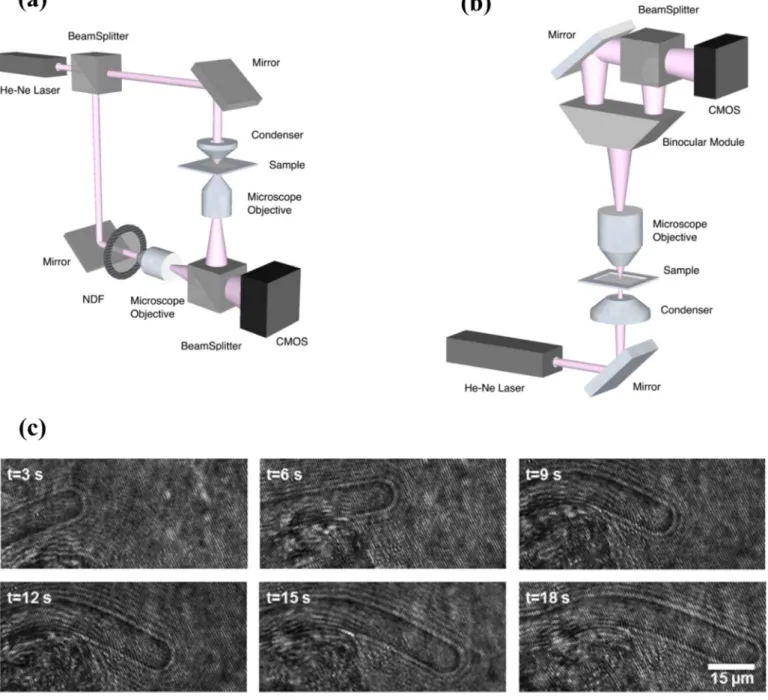 Fig. 1. Schematic DHM setups based on (a) Mach-Zenhder interferometer, (b) The improved self-referencing interferometry which was used for our experiment in this paper.