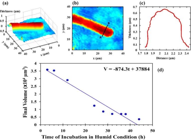 Fig. 1a shows the scheme of a typical Mach-Zehnder inter- inter-ferometer type DHM system for off-axis holography
