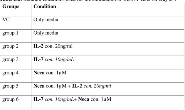 Table 3.6: Medium conditions used for the stimulation of CD8+T cells for Day 2-4   Groups    Condition  