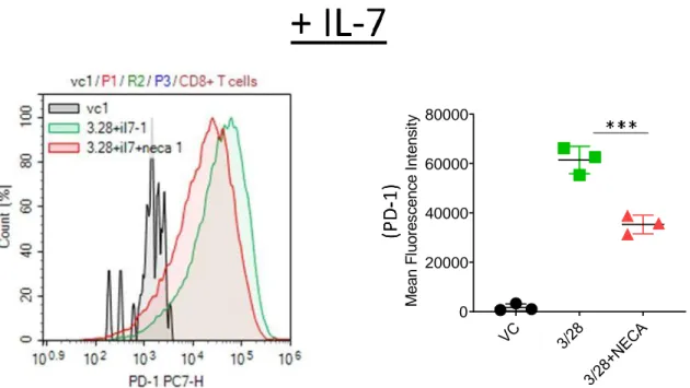 Figure 4.8: Il-7 has little effect on PD-1 expression of NECA stimulated CD8 + T cells