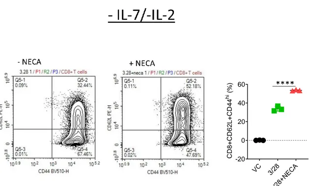 Figure 4.11: Adenosine signaling effect on CD8 + T cell differentiation into memory  cells