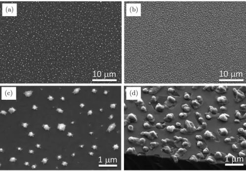 Fig. 1. Lower and higher magni¯cation SEM images of the surface morphology of 12 nm Fe coated SiC C-face after (a), (b) 800  C and (c), (d) 1100  C hydrogen annealing.