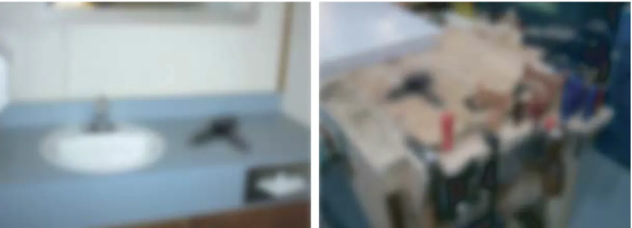 Figure 1.1: The context e↵ect. Contextual information enables to interpret the iden- iden-tity of the physically same object as a hairdryer or a drill in an ambiguity