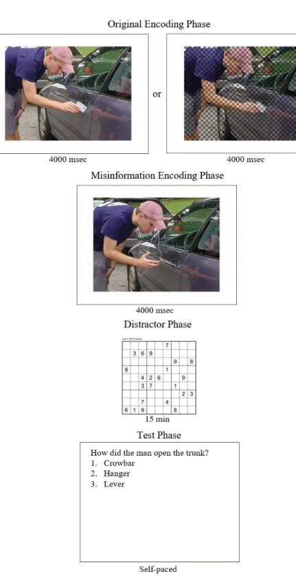 Figure 4 Four Main Stages of Experiment 2: Original Encoding Phase,  Misinformation Encoding Phase, Distractor Phase, Test Phase