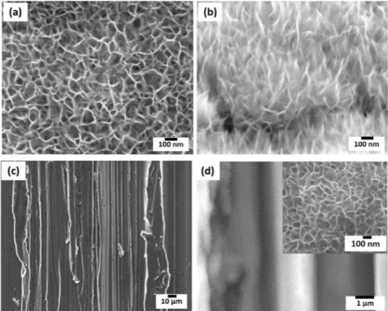 Fig. 2. SEM images of rough Al alloy surfaces of (a) top-view nanograss, (b) tilted-view nanograss, (c) microgrooves, and (d) hierarchical microgrooves-nanograss structures.