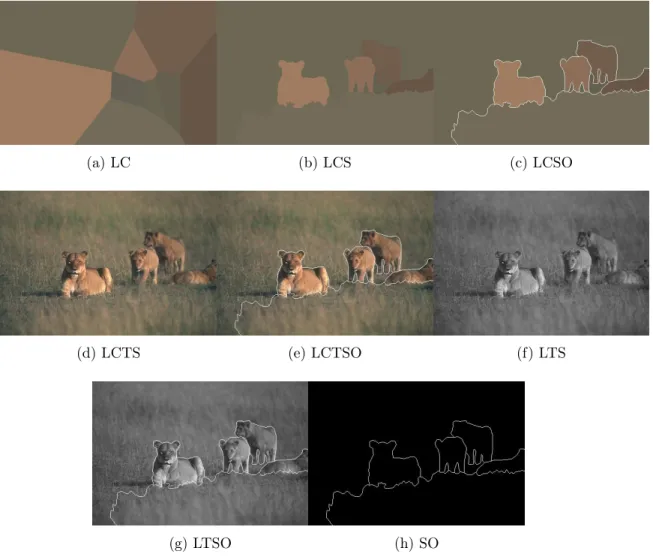 Figure 2.3: Examples of images containing animals: LC, LCS, LCSO, LCTS, LCTSO, LTS, LTSO, SO respectively.