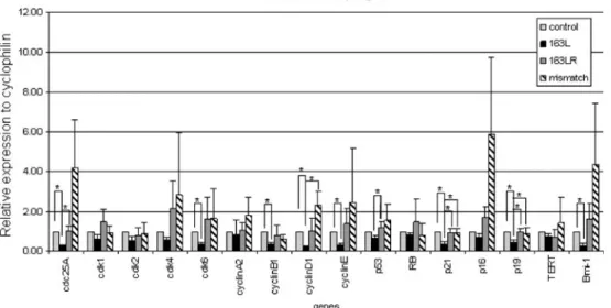Fig. 5 mRNA expression of cell cycle genes in MSCs from control, mismatch, 163L and 163LR groups determined with qRT-PCR